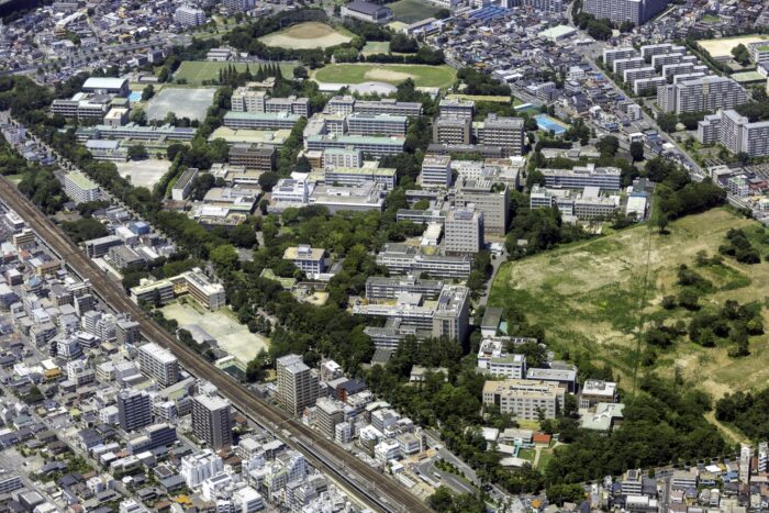 千葉県の中で子育て支援・教育環境を優先する方におすすめのエリア｜千葉県『木ここち家ラボ』