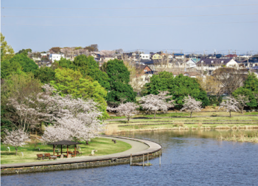 Nature and Urbanity