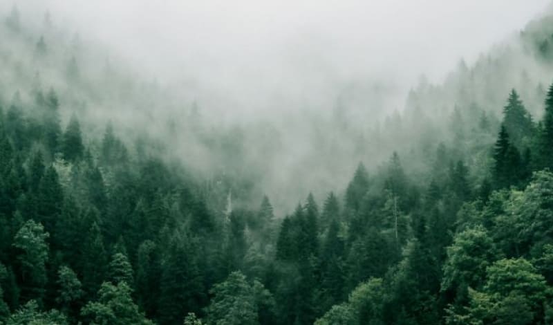 木ここち家ラボの家づくりの特徴