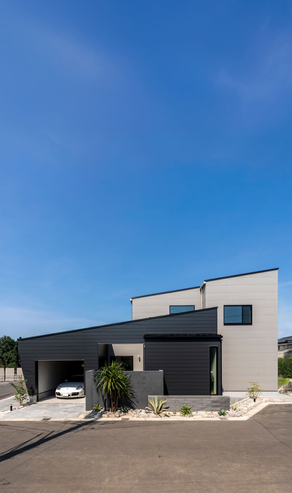 FVスライド画像