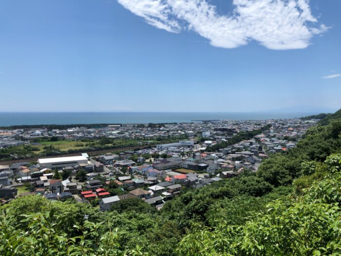 千葉の東京湾沿岸など海に近い埋立地・沿岸部に広がる住宅街の風景